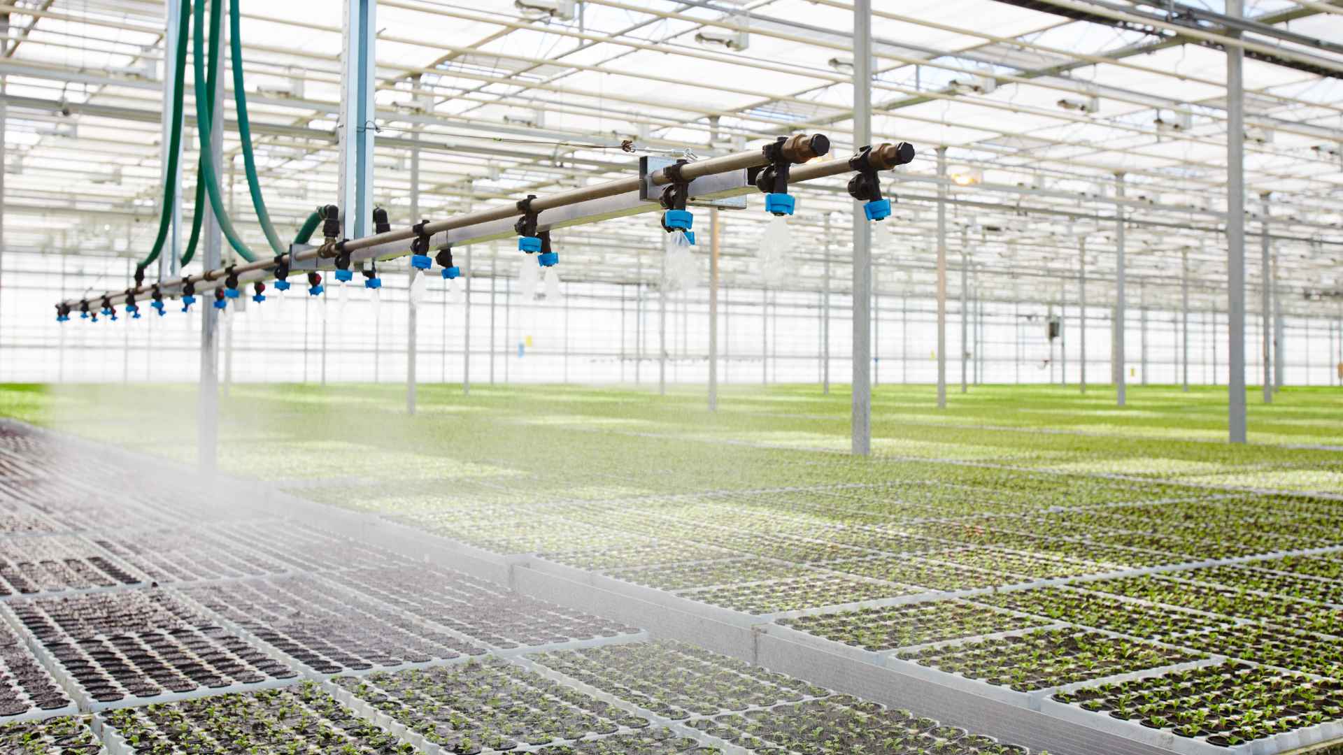 Carrera Técnica En Sistemas de Riego CBTA 41